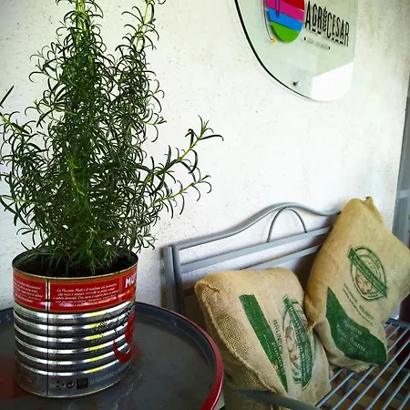 Apartment Agricesar *